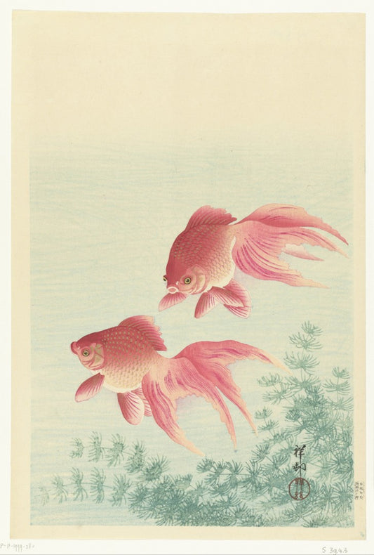 Two Veiltail Goldfish – Ohara Koson Framed Poster Framed Posters Loom of Thirds India's No. 1 Art-led, graphic streetwear brand based in Kolkata by Sidhartha Mohanta & Chirayata Purna Chakrabarty