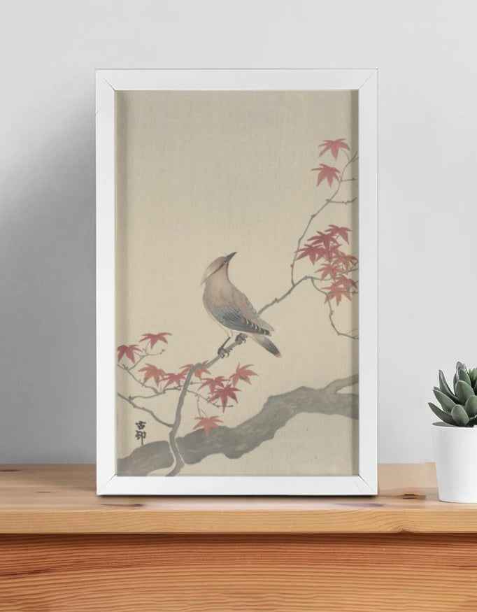 Japanese Waxwing on a Maple Branch – Ohara Koson Framed Poster