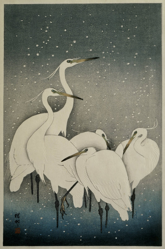 Group of Egrets in Snow – Ohara Koson Framed Poster Framed Posters Loom of Thirds India's No. 1 Art-led, graphic streetwear brand based in Kolkata by Sidhartha Mohanta & Chirayata Purna Chakrabarty