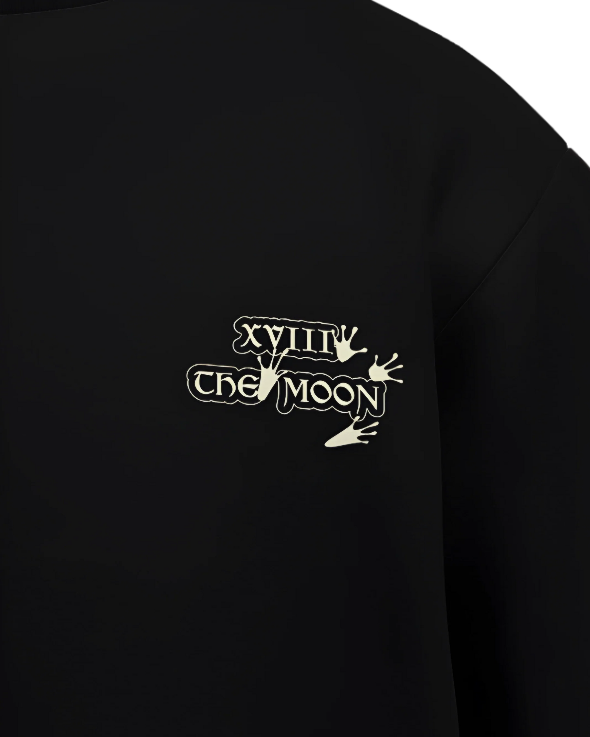 The Moon of Frogs Oversized French Terry Cotton Premium Streetwear T-shirt Loom of Thirds India's No. 1 Art-led streetwear brand based in Kolkata by Sidhartha Mohanta & Chirayata Purna Chakrabarty